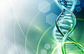 DNA double helix picture