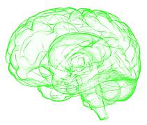 brain - Alzheimer